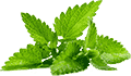 ddos在线攻击平台
